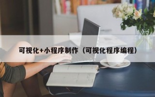 章丘可视化+小程序制作（可视化程序编程）